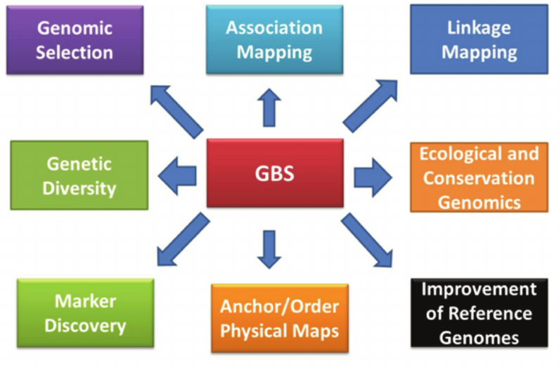 Advanced Gbs GBS